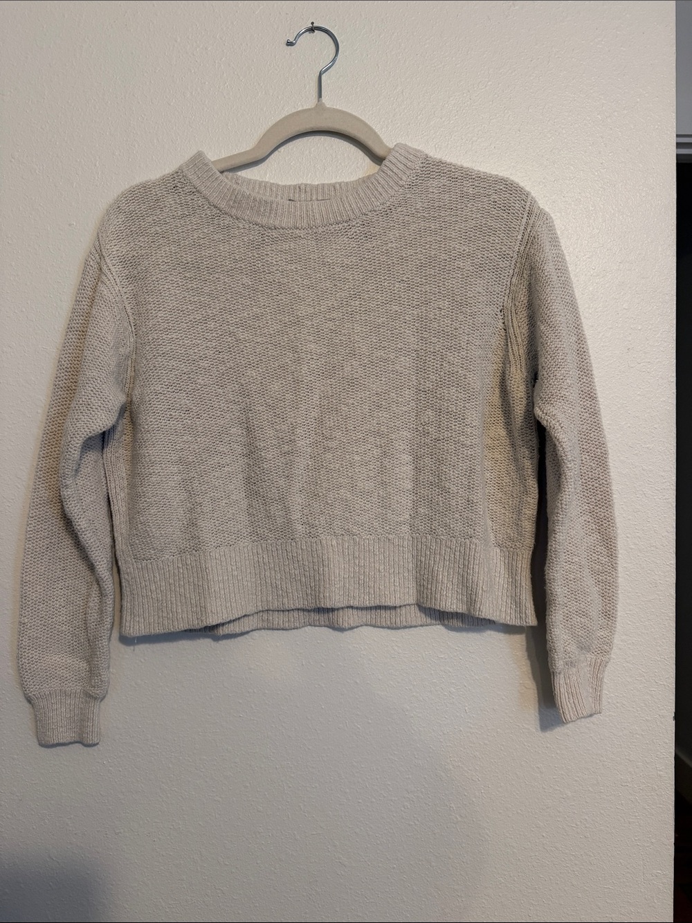 Everlane Cropped Crewneck Sweater in Cream